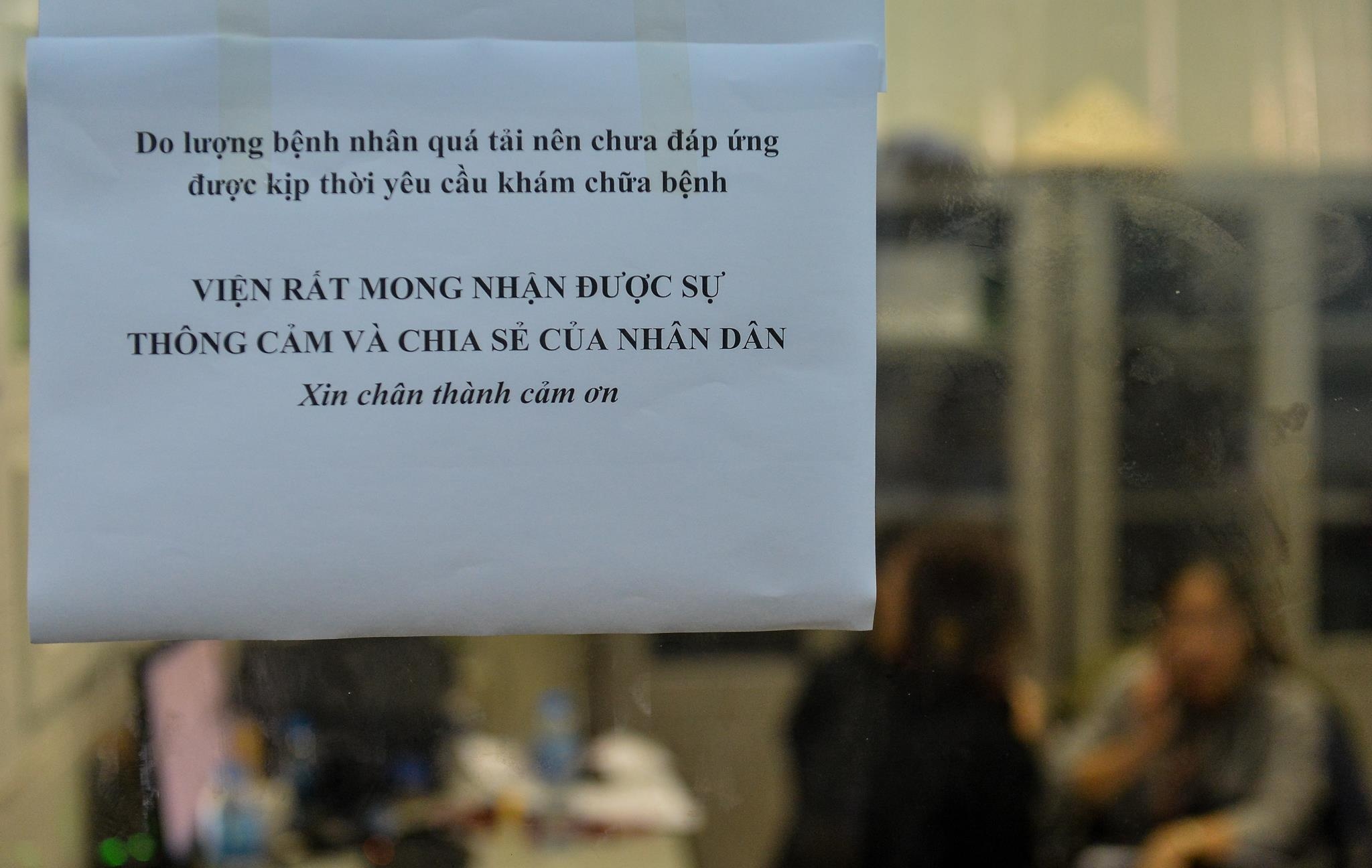 bi nhiem san lon anh 10