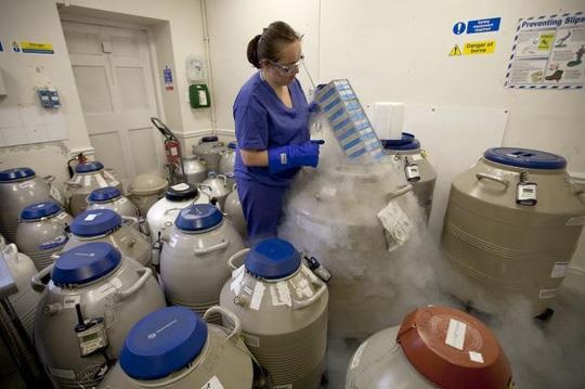 Nga ngua voi thi truong tinh trung anh 1