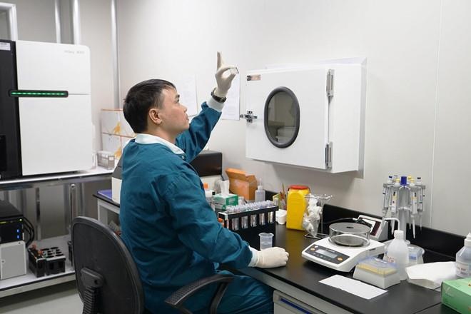 nguồn gốc người Việt ảnh 2 nguon goc nguoi Viet anh 2