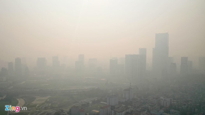 than tổ ong ảnh 1 than to ong anh 1