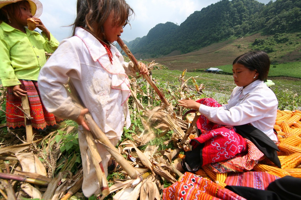 lá ngón giết người ảnh 4 la ngon giet nguoi anh 4