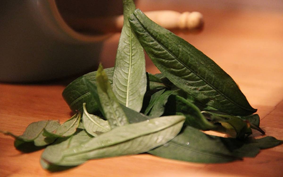 Su that ve rau ram anh 2