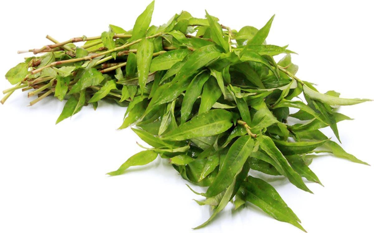 Su that ve rau ram anh 6