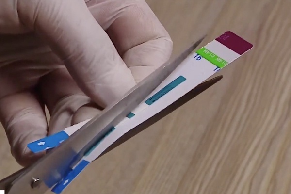 Giám đốc BV Saint Paul ảnh 1 Giam doc BV Saint Paul anh 1