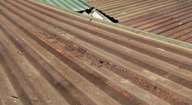 Mo cap cuu be gai 8 tuoi bi mai ton vang vao lung hinh anh