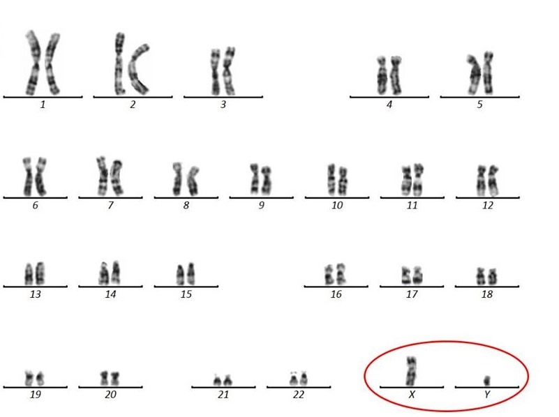 khong the co tinh trung anh 1
