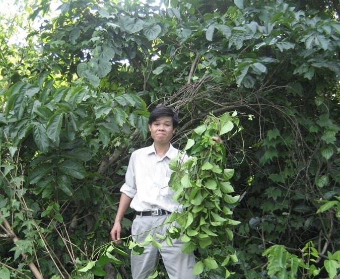 giả mạo chuyên gia ảnh 1 gia mao chuyen gia anh 1