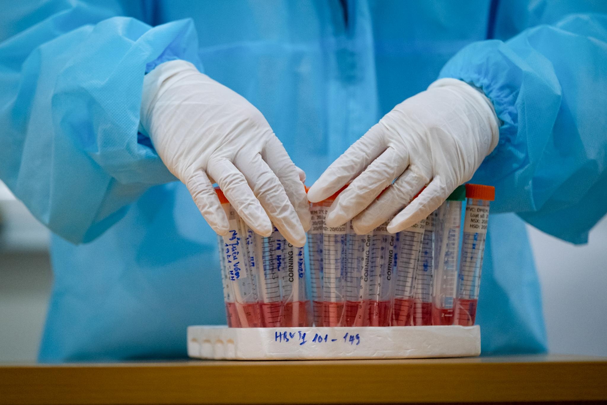 4 truong hop lien quan cho hoa Me Linh da am tinh hinh anh