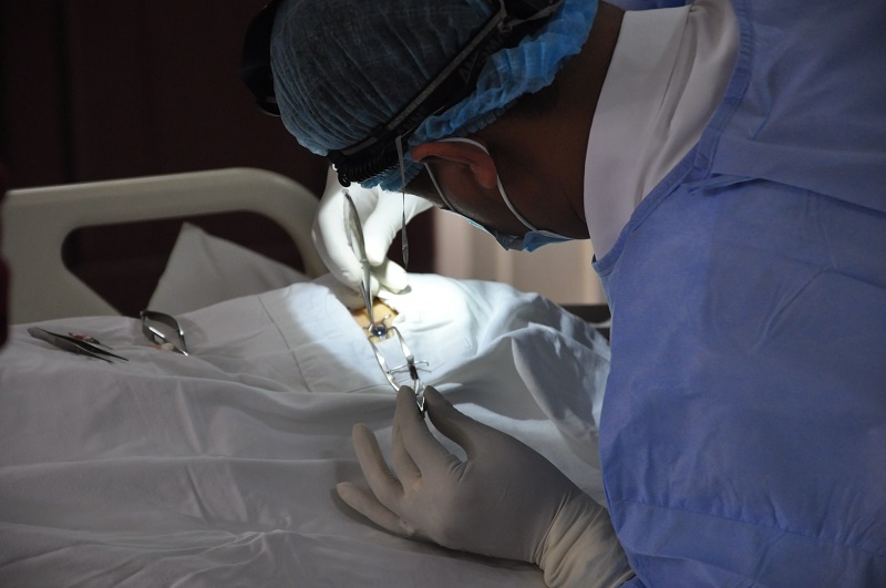 'Toi lam viec cung nguoi da khuat' hinh anh