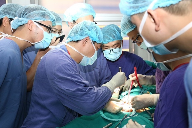 vo vat hang anh 1