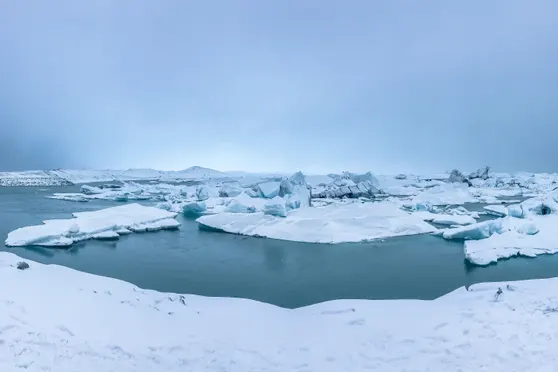 Cuc Trai Dat di chuyen 4 m trong hon 40 nam hinh anh