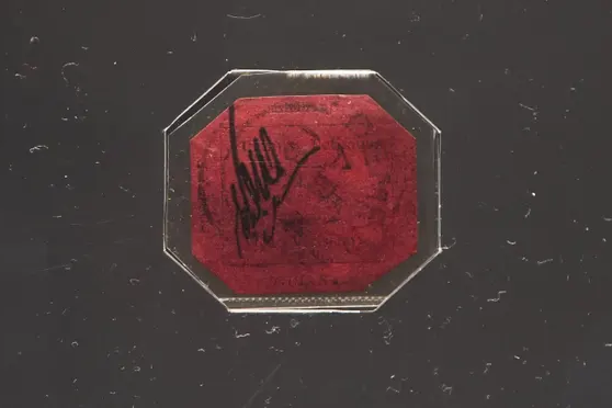 Con tem dat nhat the gioi duoc dinh gia 15 trieu USD hinh anh