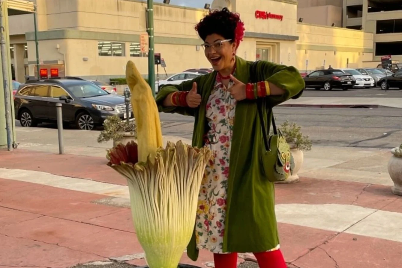 Do xo chiem nguong 'hoa xac thoi' o My hinh anh