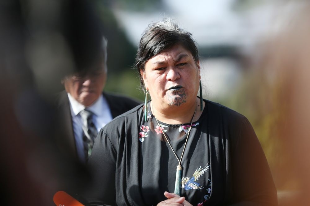 ngoai truong new zealand anh 3