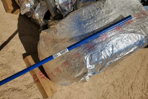 dung can choi duoi ran anh 1