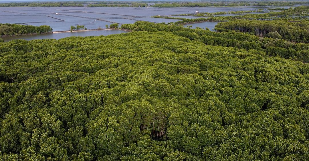 bao cao ro ri ve khi hau anh 3