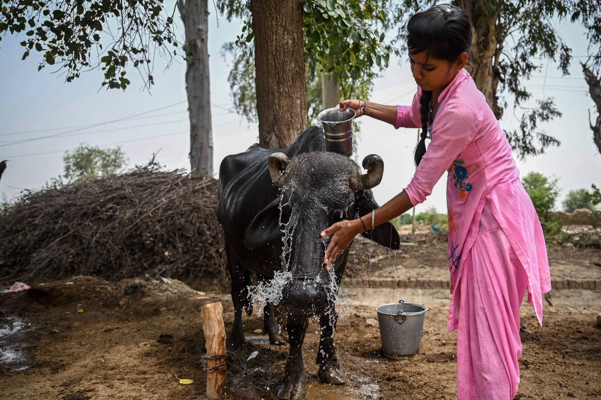nang nong an do anh 1