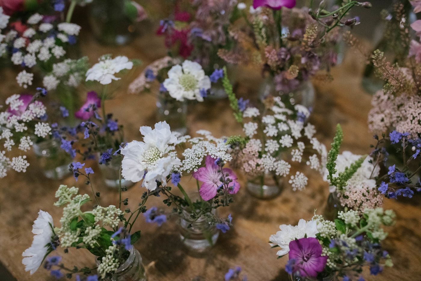 nganh trong hoa o my anh 1