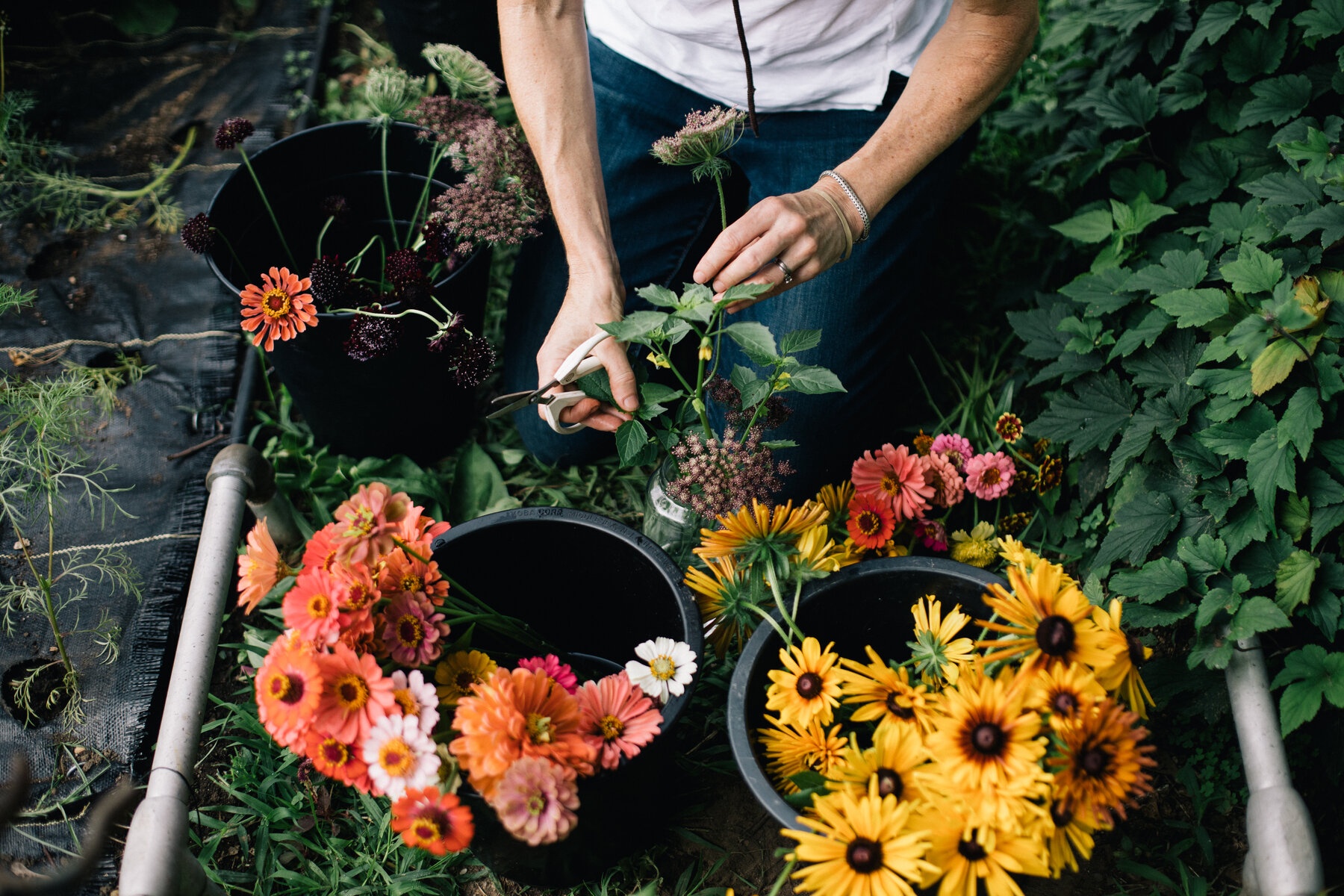 Nganh phat dat bat ngo giua dai dich Covid-19 tai My hinh anh