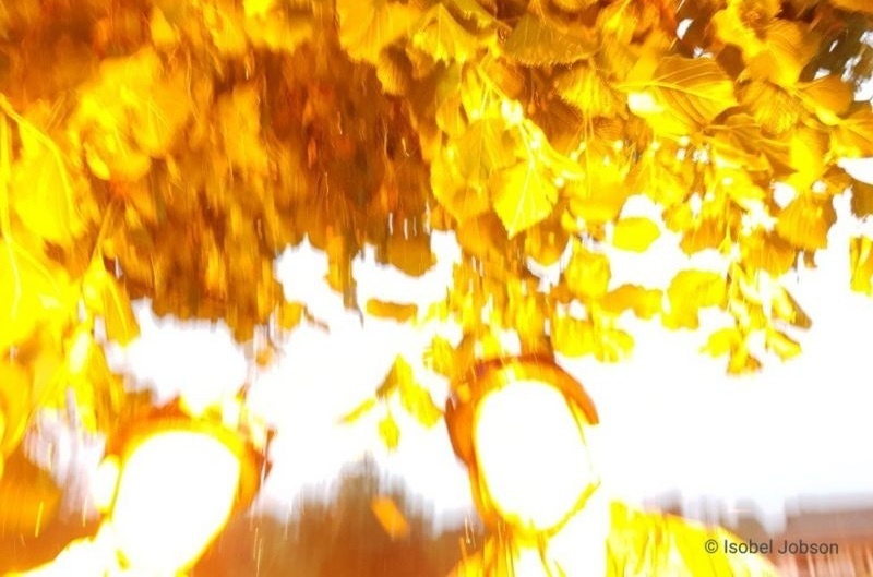 Buc anh selfie chup dung khoanh khac ba chi em bi set danh o Anh hinh anh