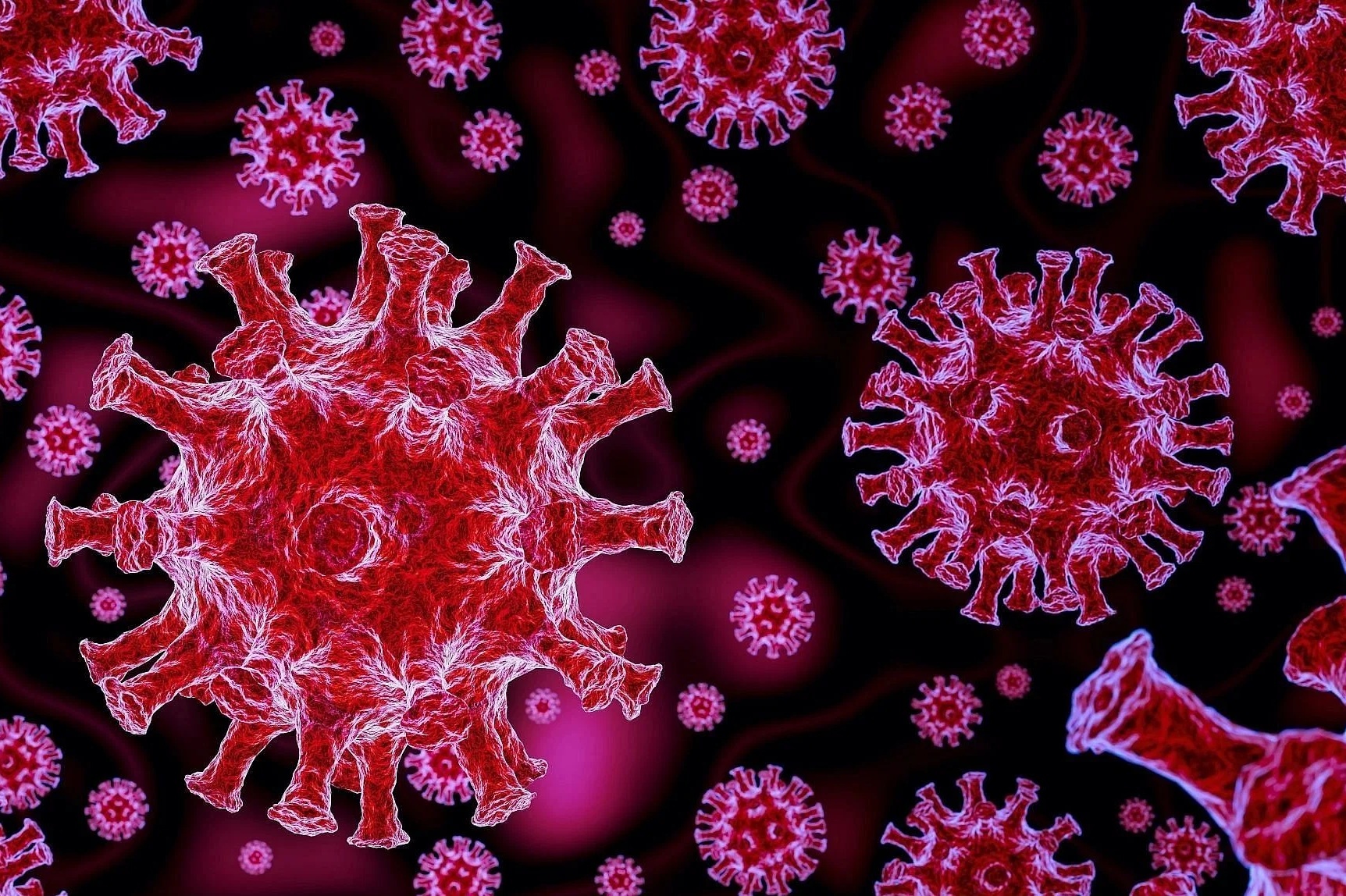 Nhung dieu the gioi da biet ve bien chung Eta hinh anh