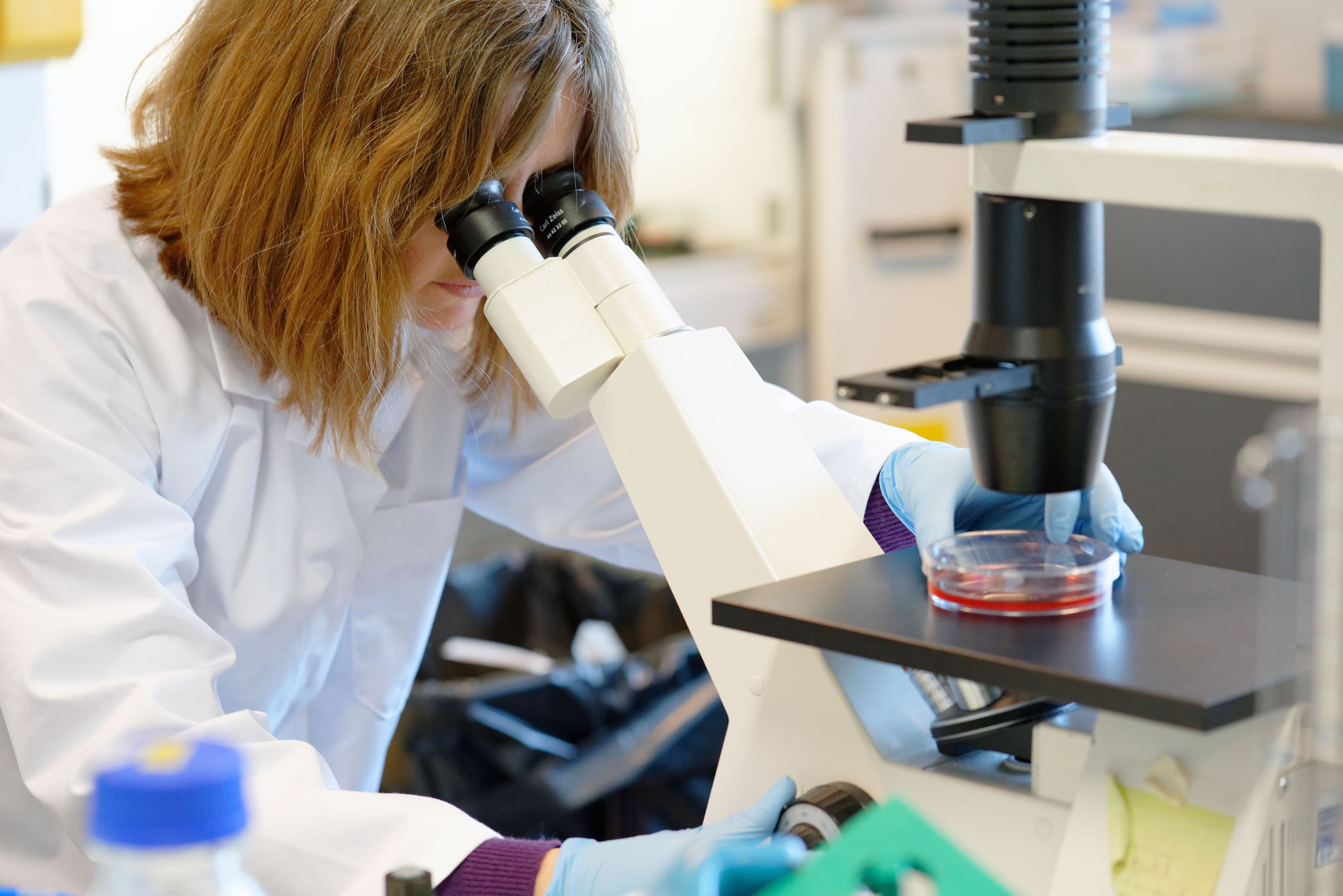 bien chung r.1 anh 2