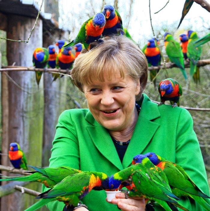 angela merkel anh 11