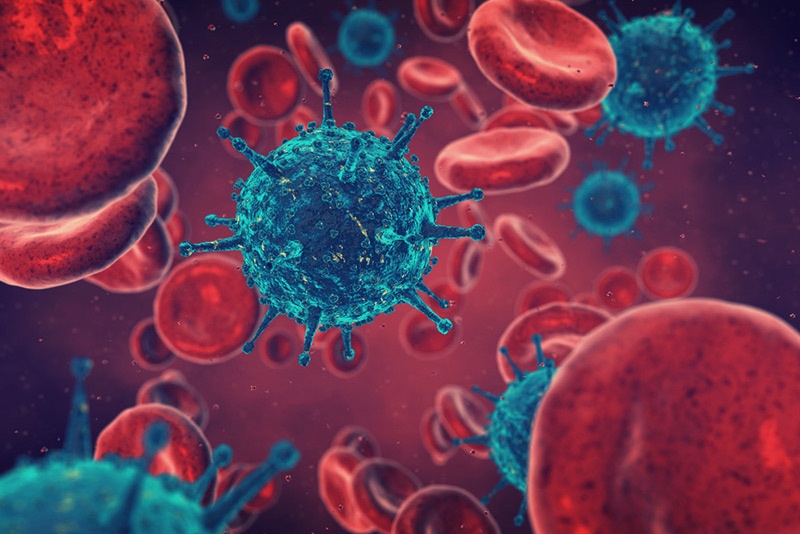 Phat hien protein trong virus SARS-CoV-2 gay benh tim hinh anh