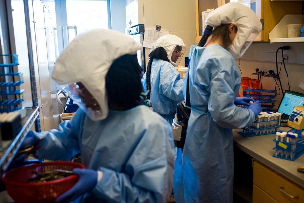 Vi sao My cham phat hien bien chung Omicron? hinh anh