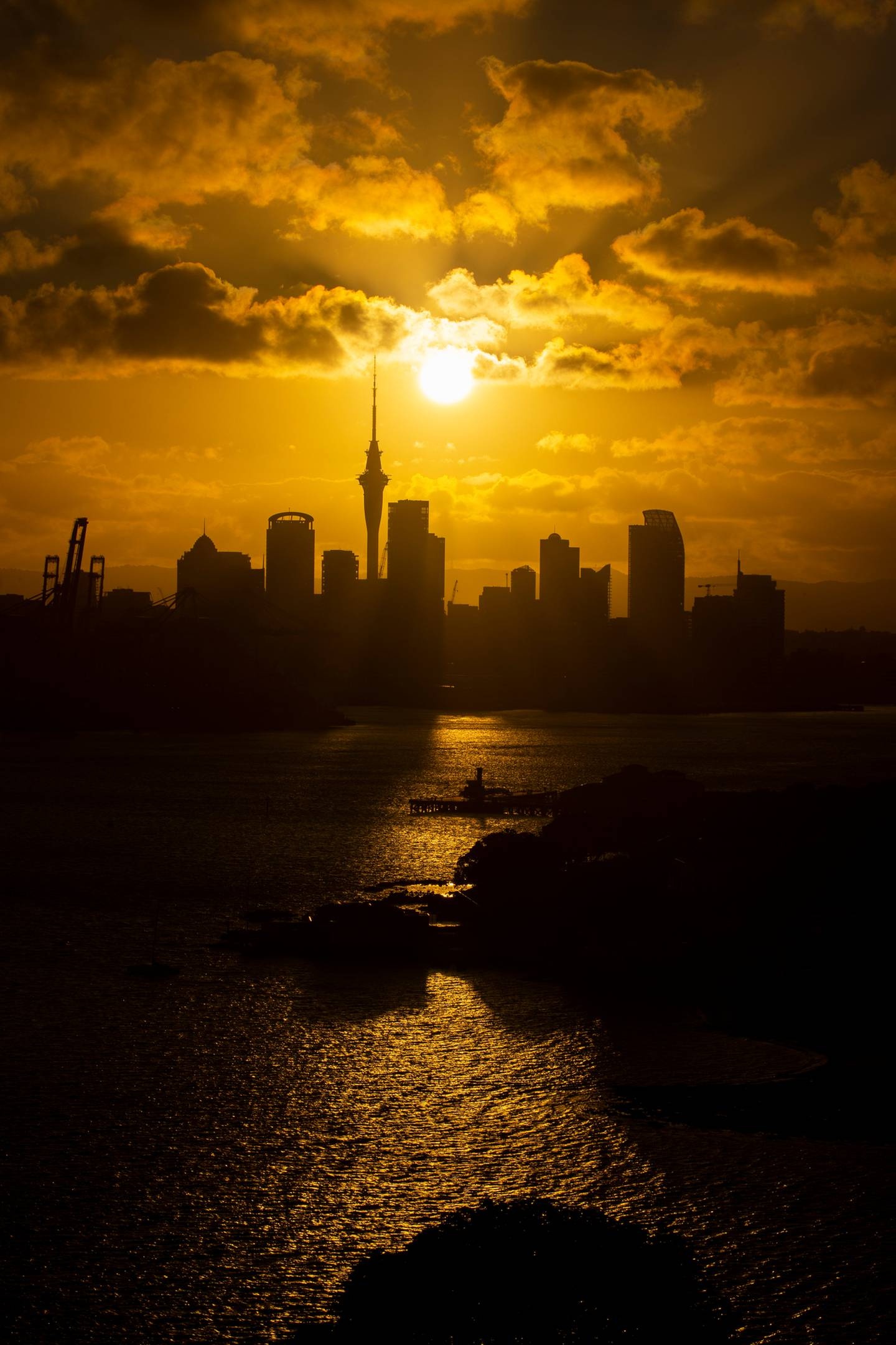 nam moi new zealand anh 3