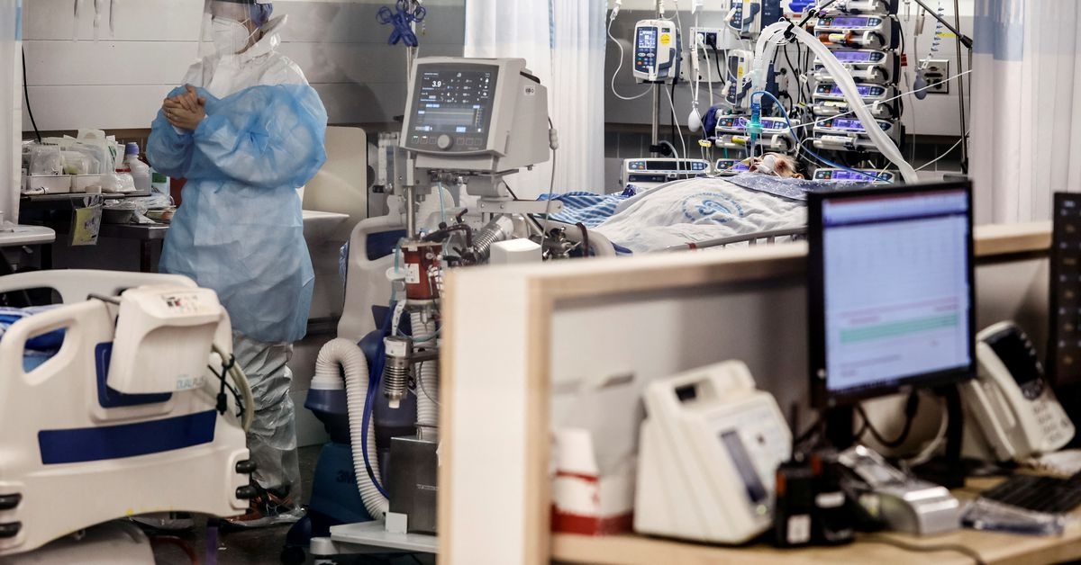 who canh bao ve omicron anh 1