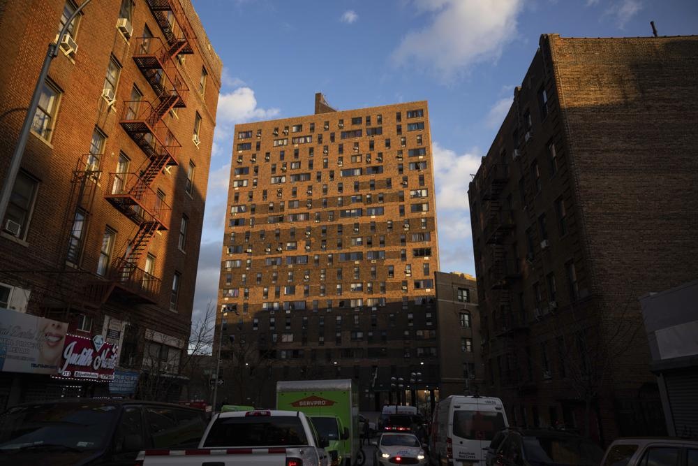 hoa hoan tai New York anh 3