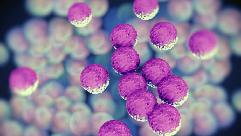 Phat hien moi ve nguyen nhan gay chet nguoi lon nhat tren the gioi hinh anh