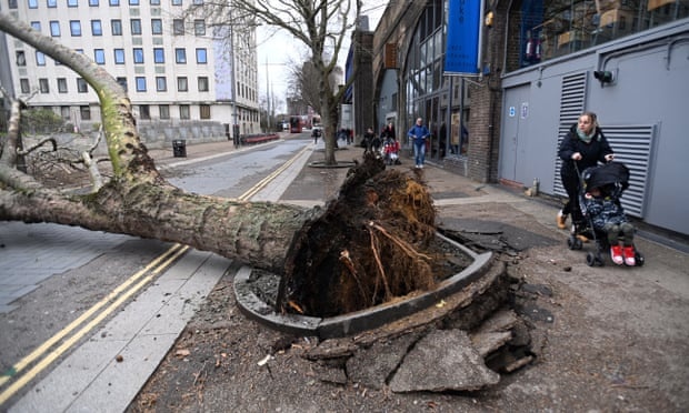 Bao Eunice tai anh anh 10