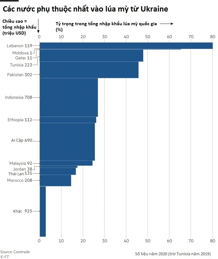 gia luong thuc khung hoang Ukraine anh 2