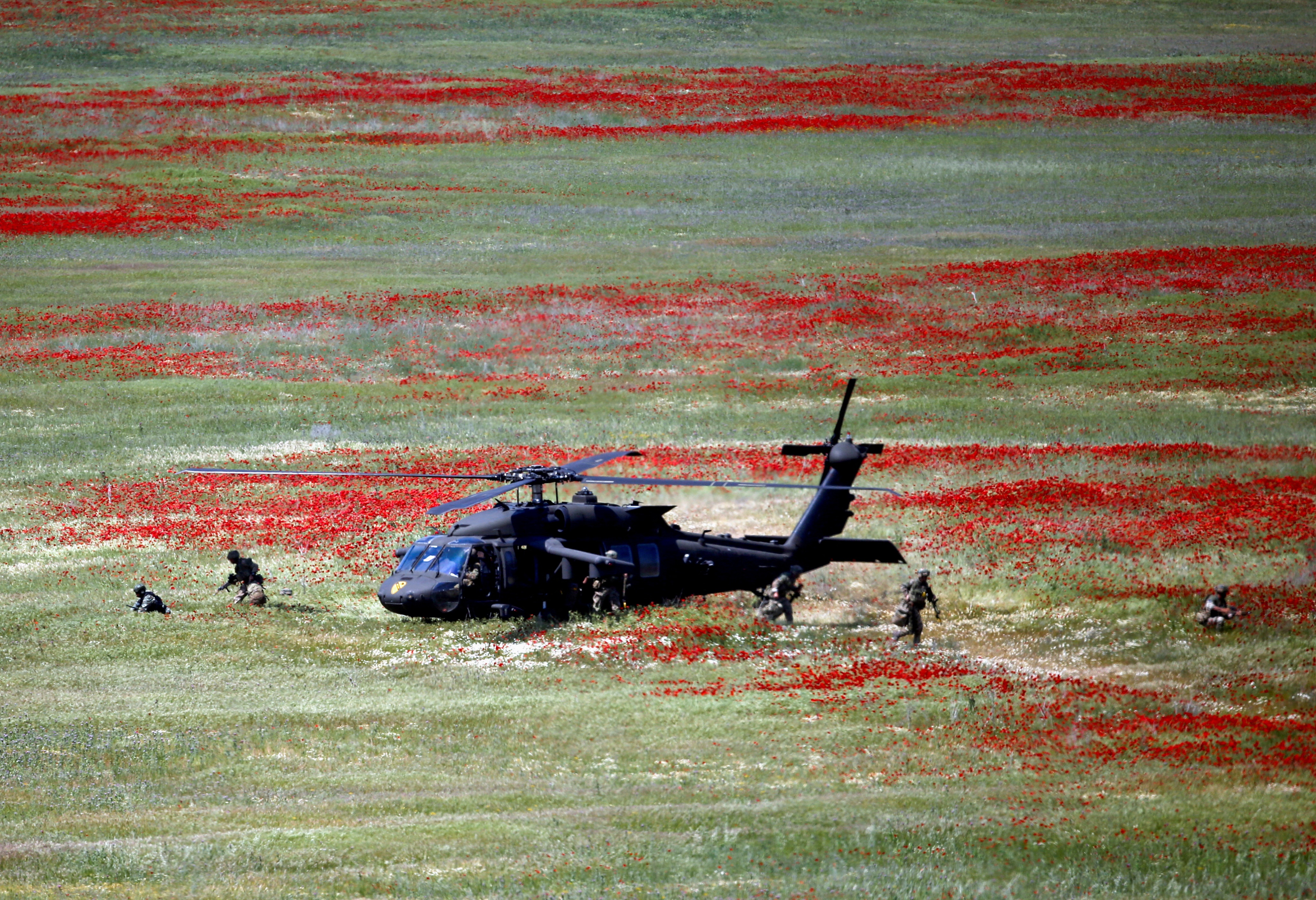 NATO tap tran o nuoc thanh vien moi nhat hinh anh