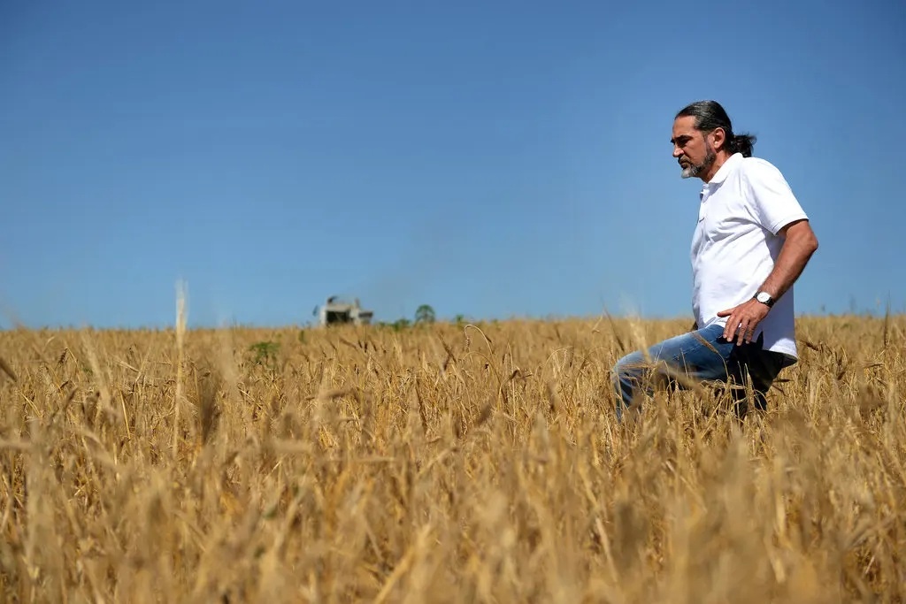 kenh dao bac crimea anh 3