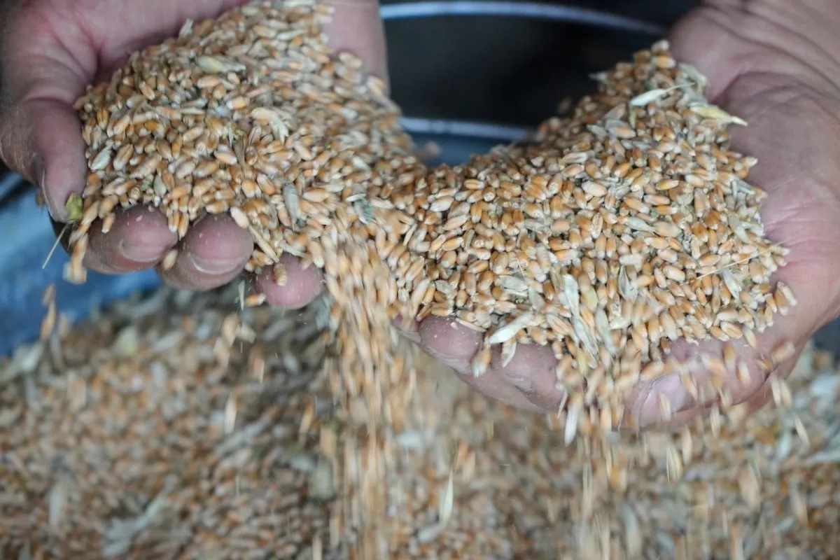 Tho Nhi Ky chu tri dam phan ve ngu coc giua Nga va Ukraine hinh anh