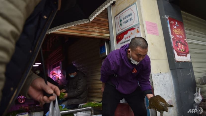 dich ta vu han anh 1