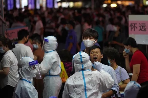 Quan chuc Le Loan xin loi vi pha khoa 84 nha dan hinh anh