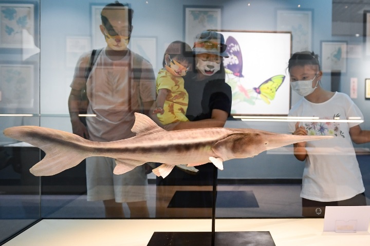 Nguyen nhan ca tam thia Trung Quoc tuyet chung hinh anh