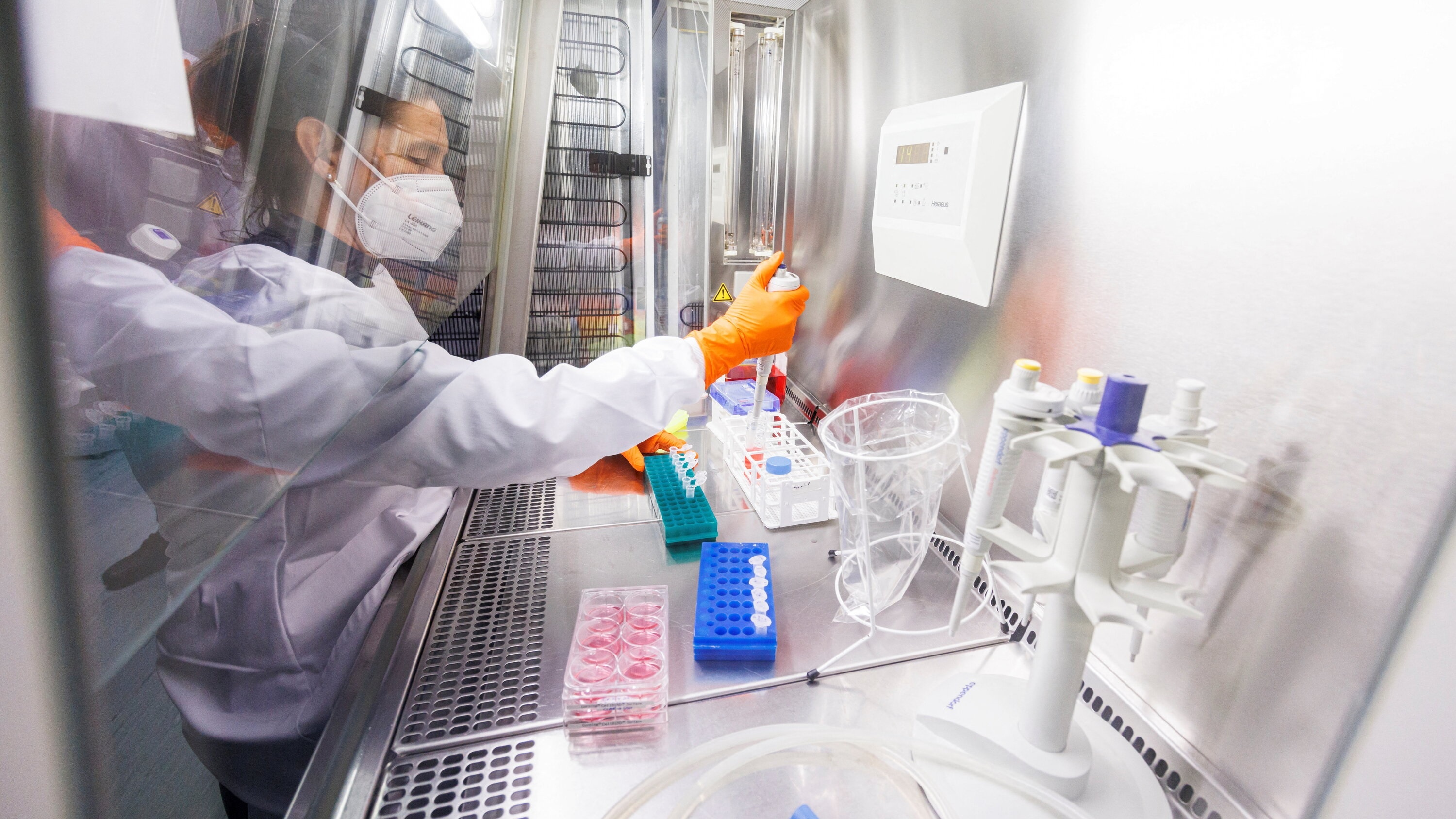 vaccine dau mua khi anh 1