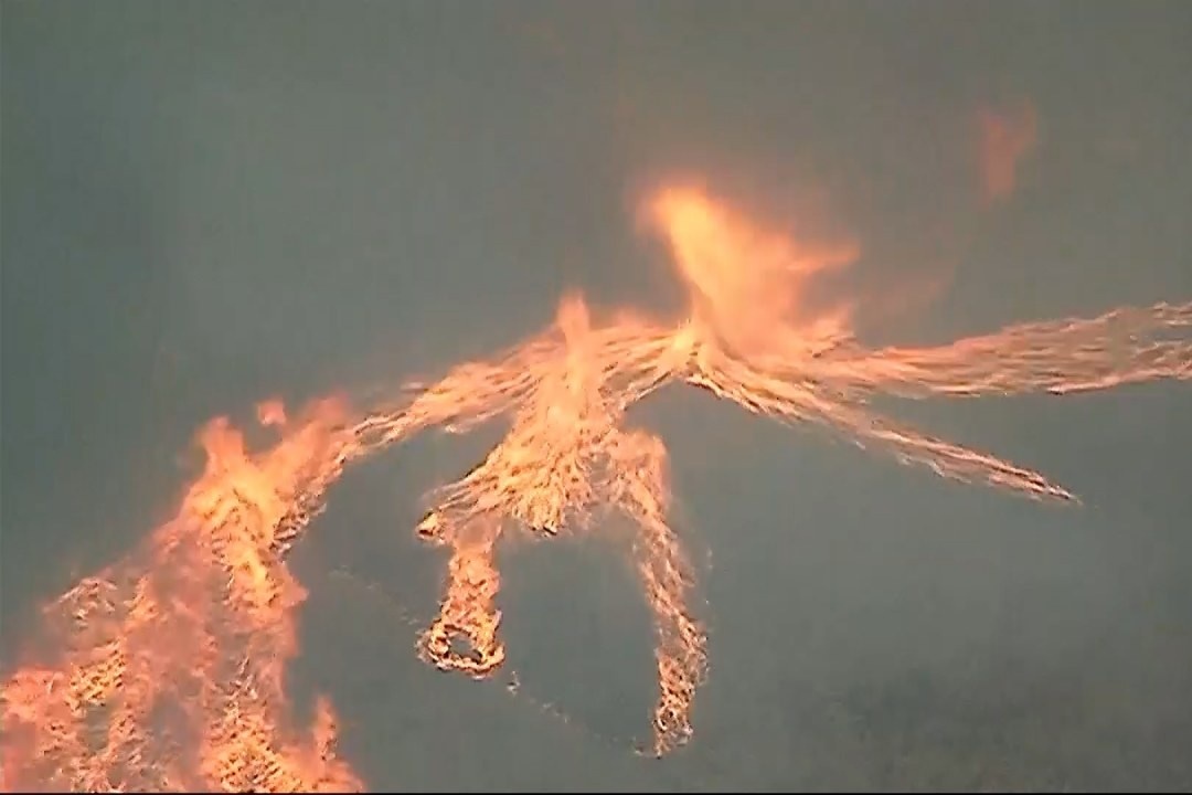 Loc xoay lua khong lo trong dam chay rung tai California hinh anh