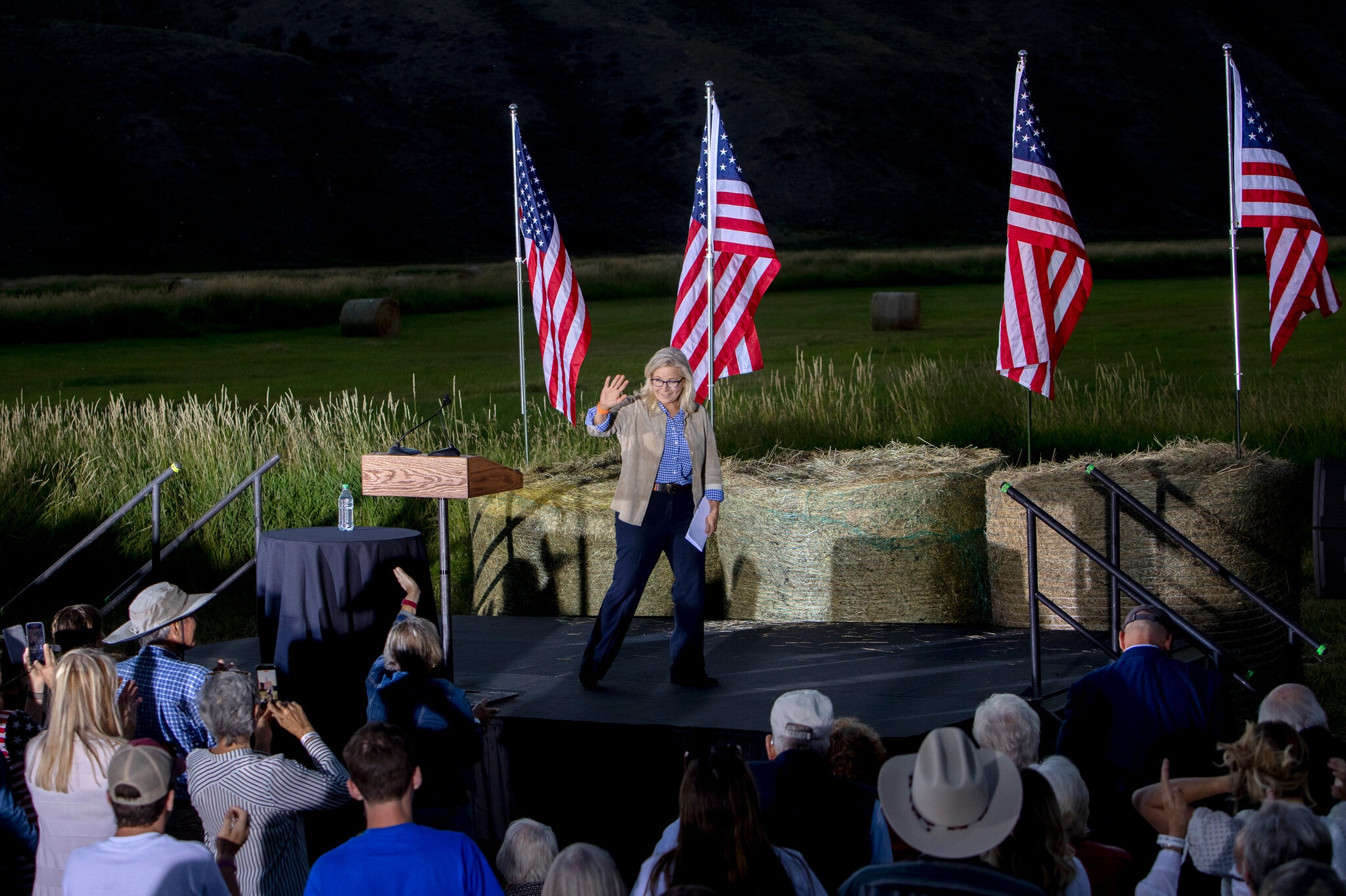 dang cong hoa my anh 2