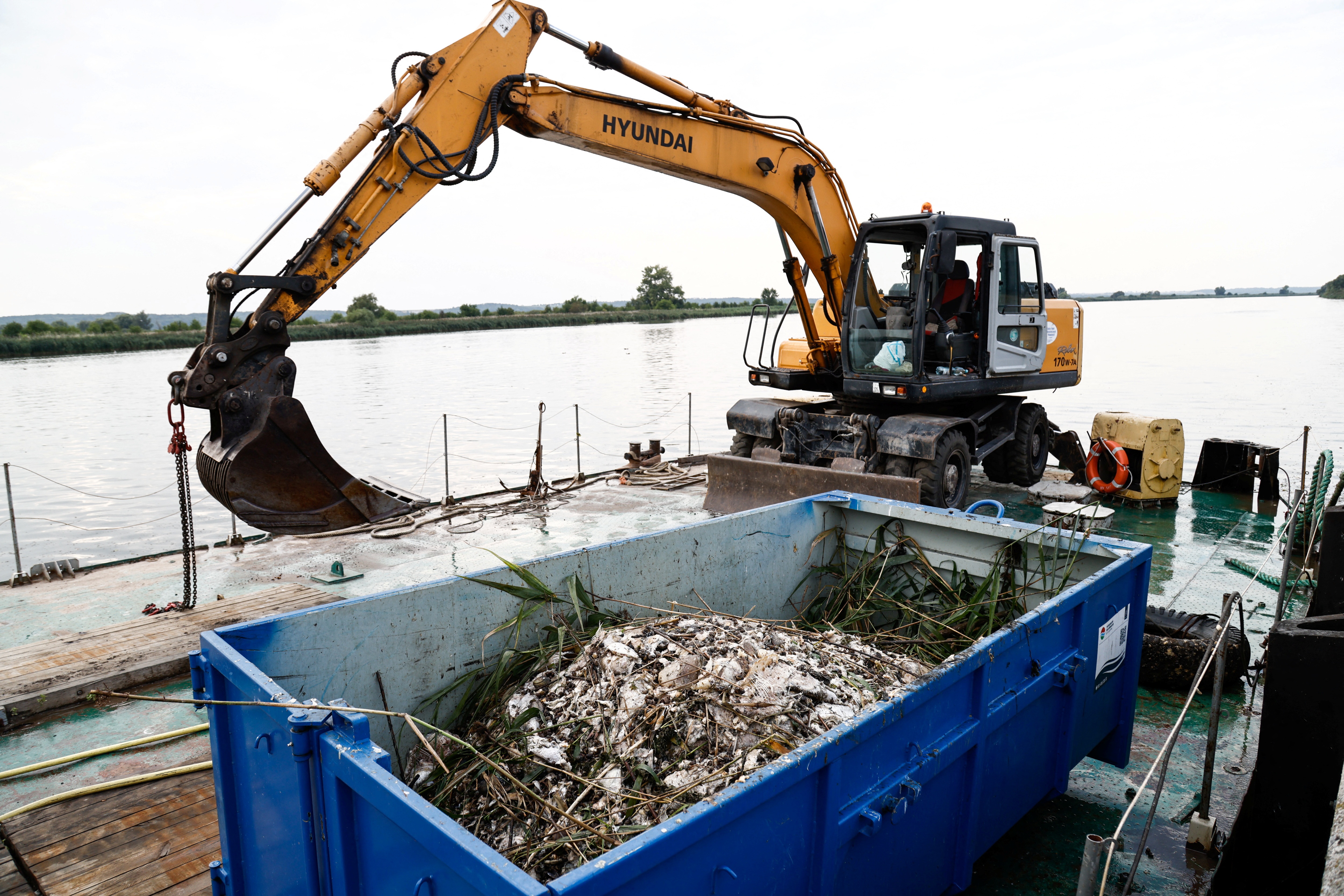 ca chet song oder anh 7