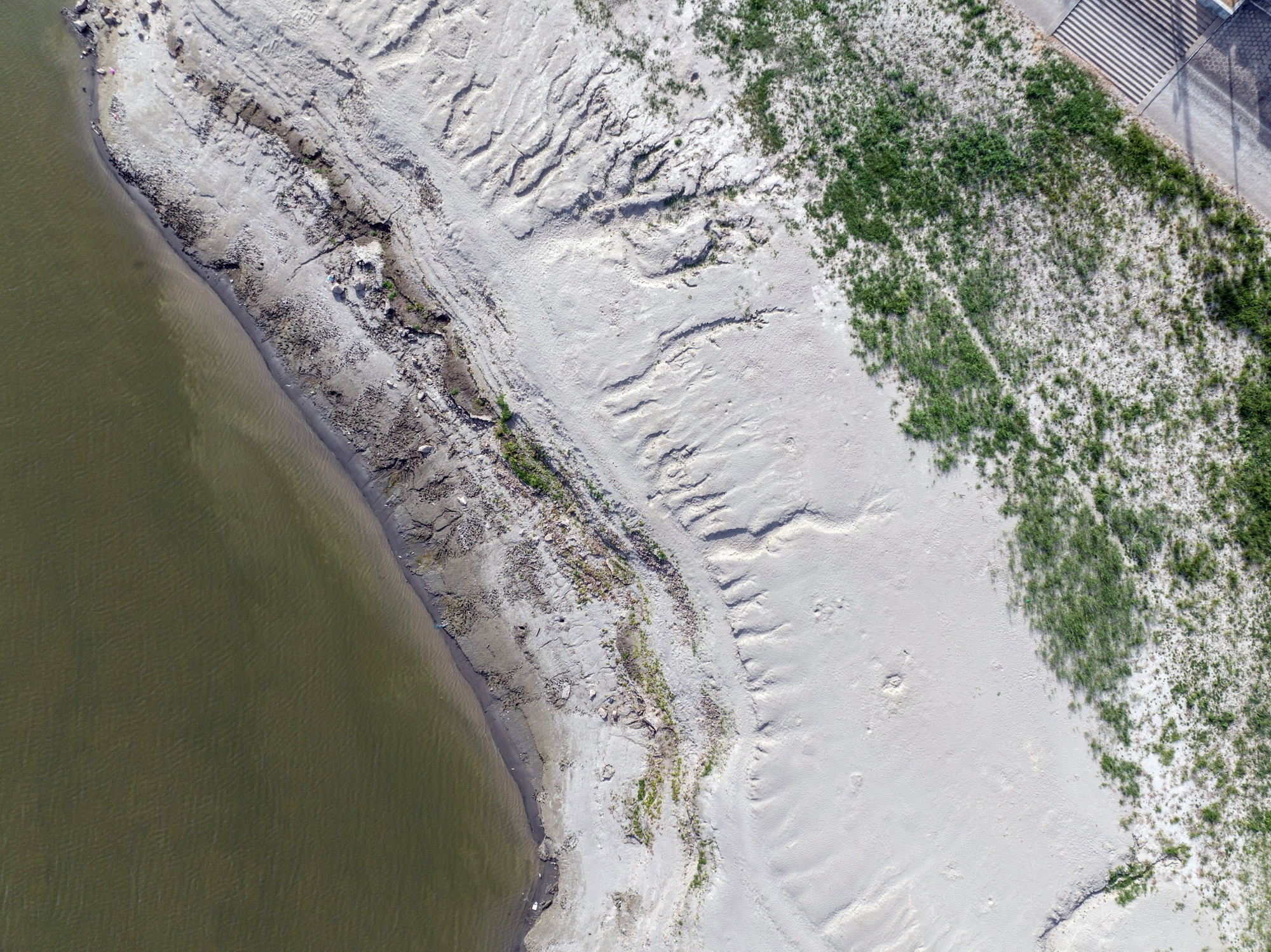 truong giang can nuoc anh 1