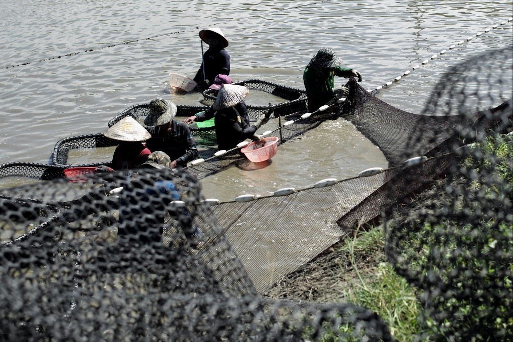 dai loan bi trung phat anh 2