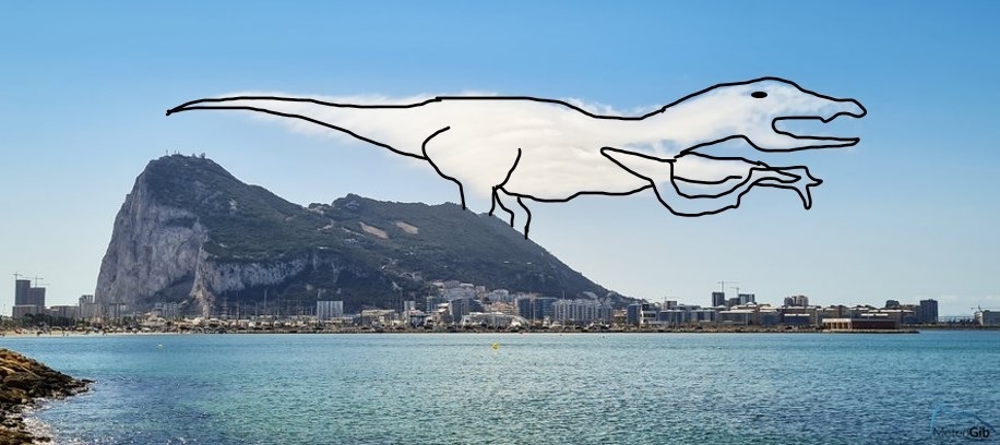 mây levanter ảnh 2 may levanter anh 2