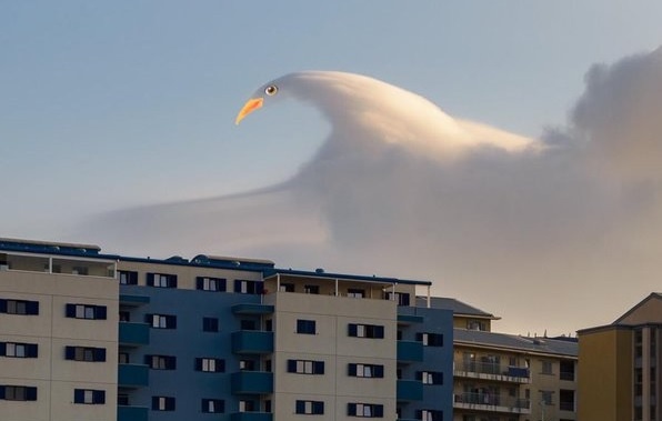 mây levanter ảnh 5 may levanter anh 5