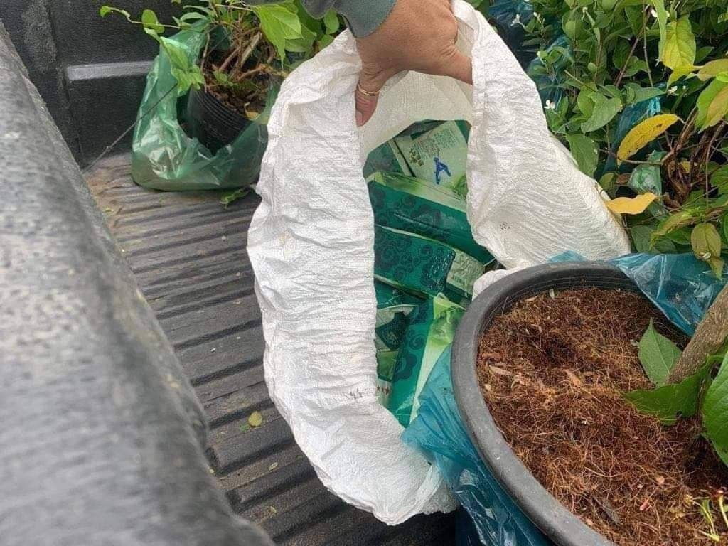 campuchia bat ma tuy anh 1